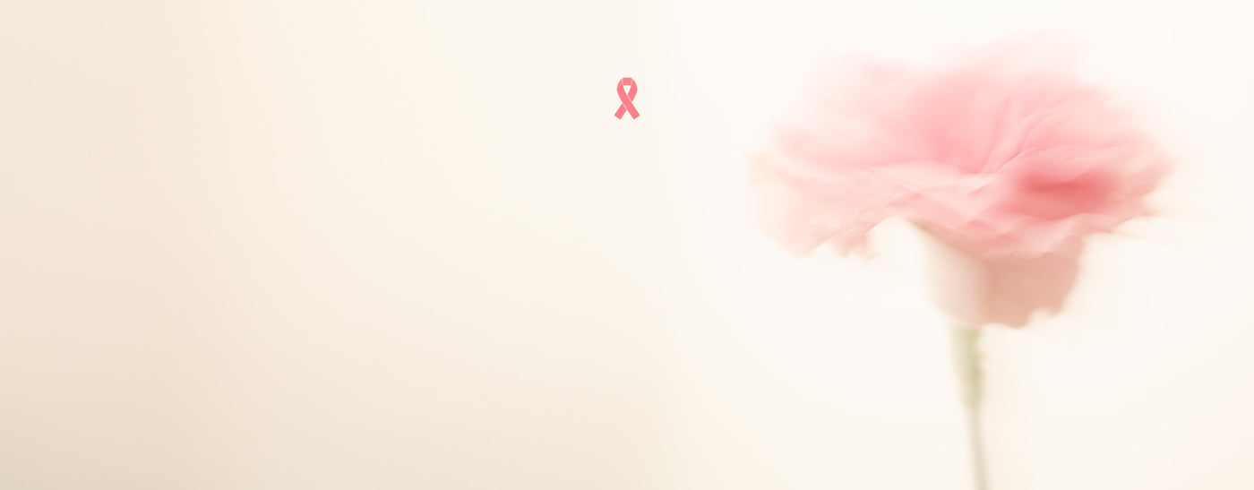 Conscientização sobre o cancro da mama na Leonisa